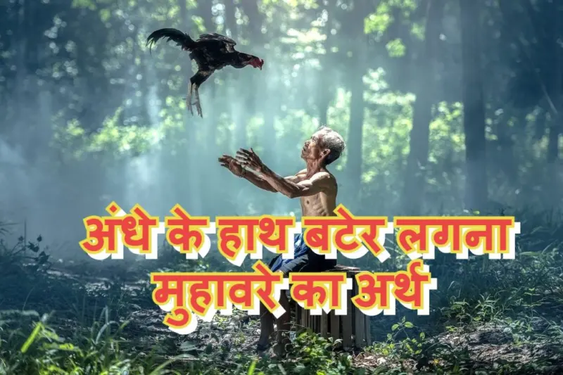 अंधे के हाथ बटेर लगना मुहावरे का चित्र