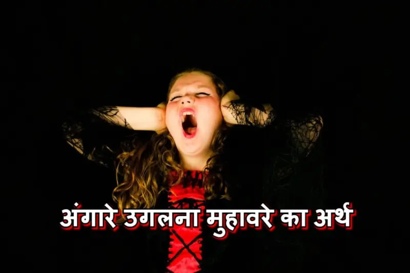 अंगारे उगलना मुहावरे का चित्र