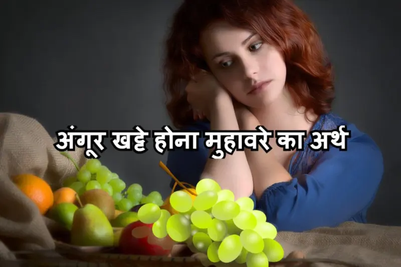अंगूर खट्टे होना मुहावरे का चित्र