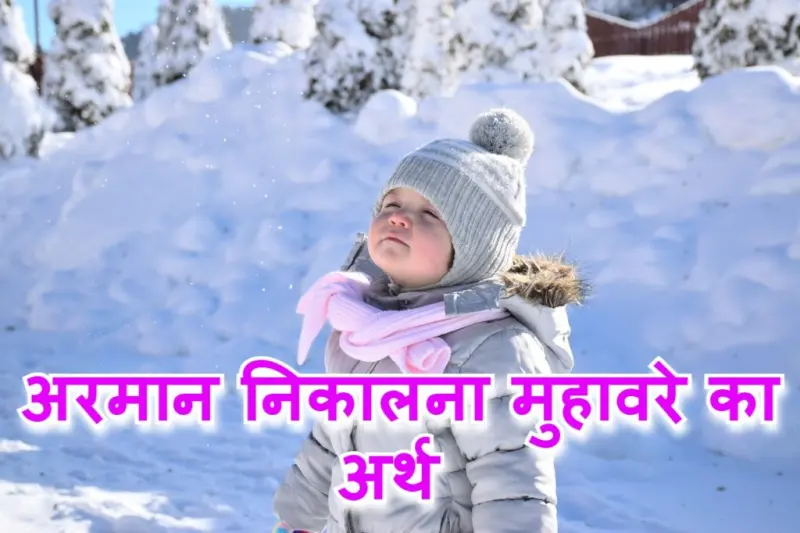 अरमान निकालना मुहावरे का चित्र