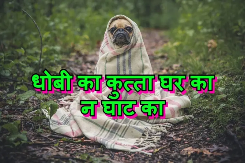 धोबी का कुत्ता घर का न घाट का मुहावरे का चित्र