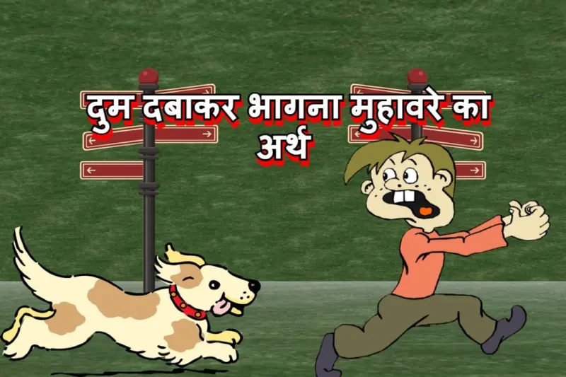 दुम दबाकर भागना मुहावरे का चित्र