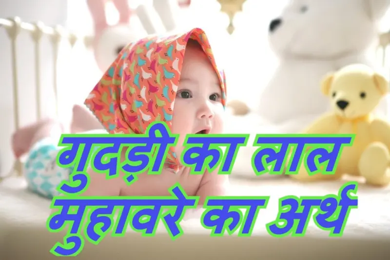 गुदड़ी का लाल मुहावरे का चित्र