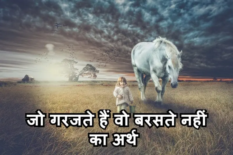 जो गरजते हैं वो बरसते नहीं मुहावरे का चित्र