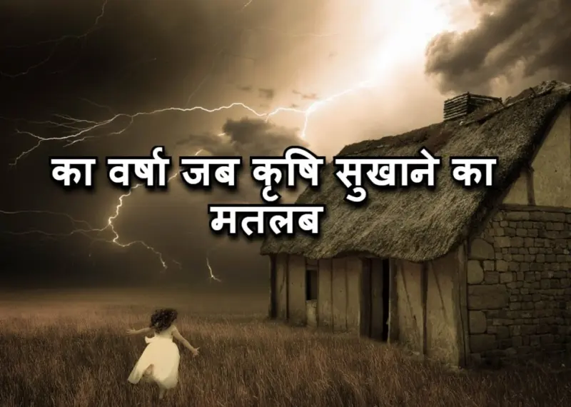 का वर्षा जब कृषि सुखाने मुहावरे का चित्र
