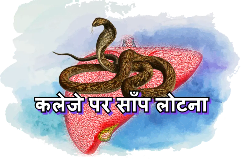कलेजे पर साँप लोटना मुहावरे का चित्र