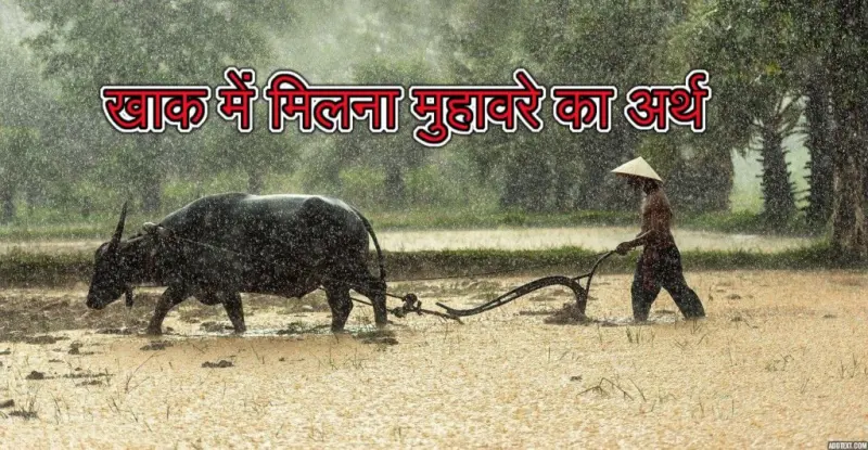 खाक मे मिलना मुहावरे का चित्र
