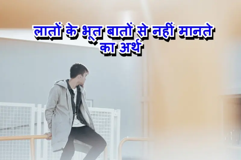 लातों के भूत बातों से नहीं मानते मुहावरे का चित्र