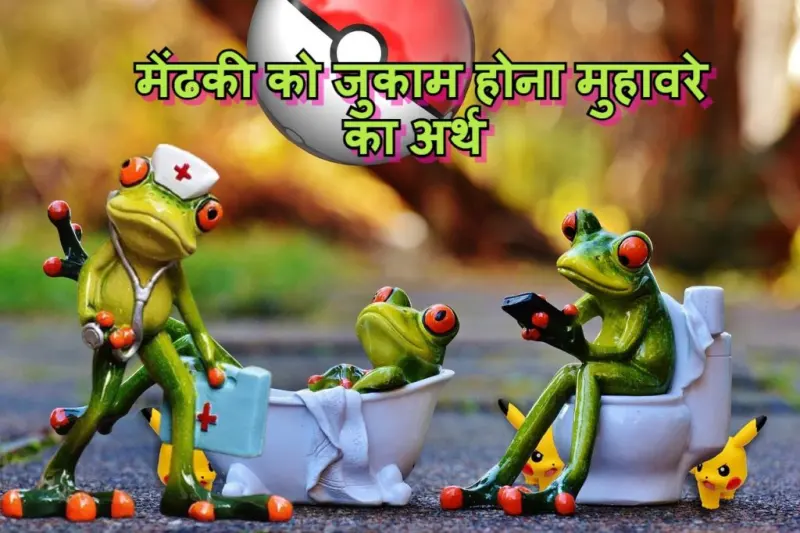 मेंढकी को जुकाम होना मुहावरे का चित्र