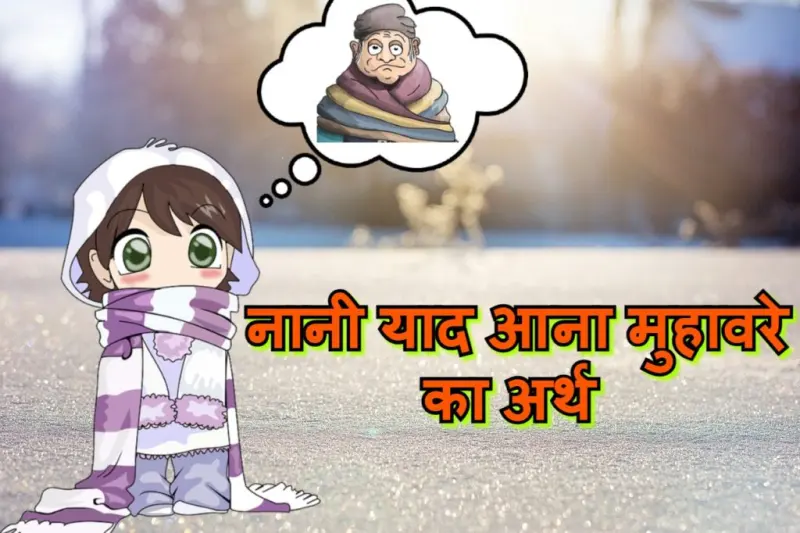 नानी याद आना मुहावरे का चित्र