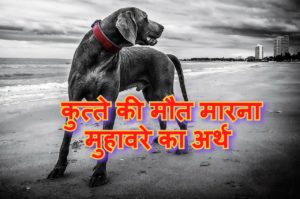 Read more about the article कुत्ते की मौत मारना मुहावरे का अर्थ और वाक्य मे प्रयोग