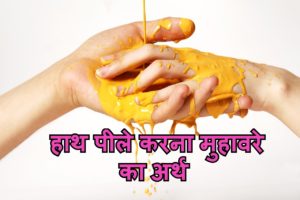 Read more about the article हाथ पीले करना मुहावरे का अर्थ और वाक्य मे प्रयोग idioms meaning in hindi