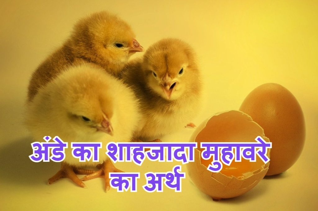 अंडे का शाहजादा मुहावरे का मतलब और वाक्य व कहानी