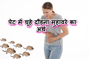 Read more about the article पेट में चूहे दौड़ना मुहावरे का मतलब और वाक्य में प्रयोग