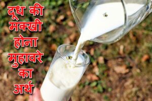 Read more about the article दूध की मक्खी होना मुहावरे का अर्थ और वाक्य में प्रयोग