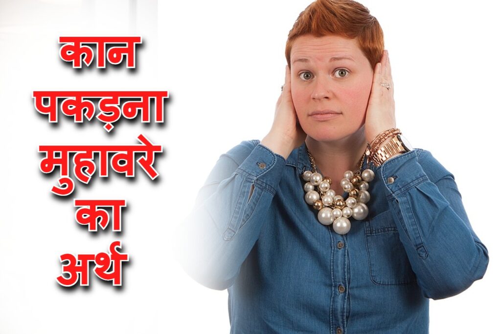 कान पकड़ना मुहावरे का अर्थ और वाक्य में प्रयोग Meaning of idiom and use in sentence in Hindi